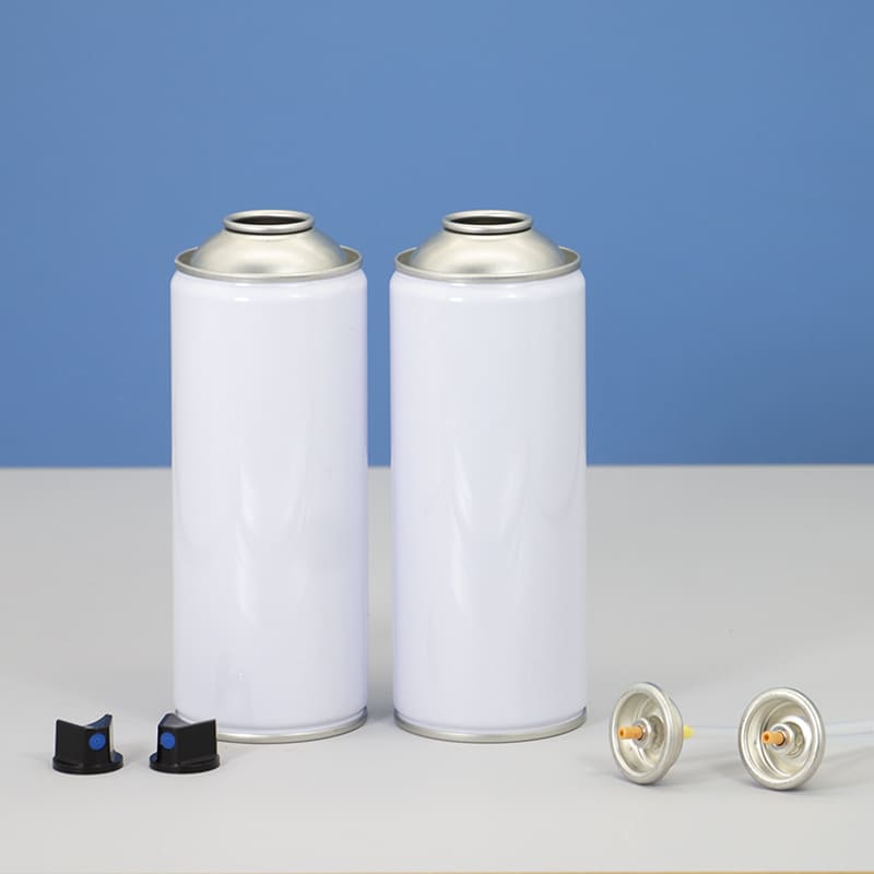 Aerosol paint container